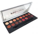 (Technic pro finish eyeshadow palette (molten lava
